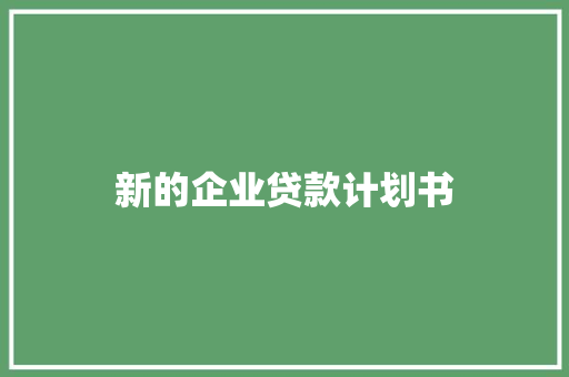 新的企业贷款计划书