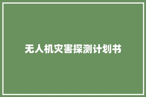 无人机灾害探测计划书