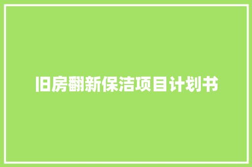 旧房翻新保洁项目计划书