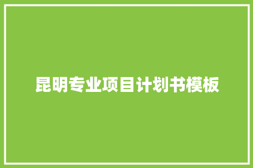 昆明专业项目计划书模板