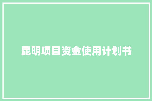 昆明项目资金使用计划书