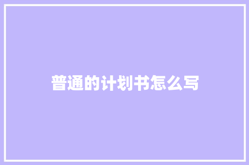 普通的计划书怎么写