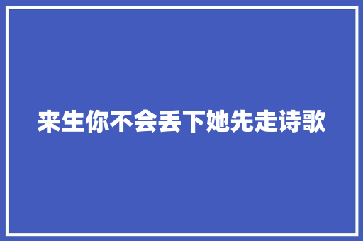 来生你不会丢下她先走诗歌 报告写作