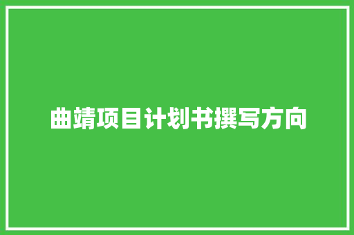 曲靖项目计划书撰写方向