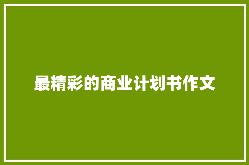 最精彩的商业计划书作文