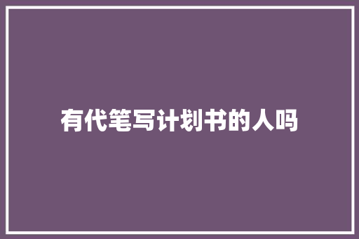 有代笔写计划书的人吗