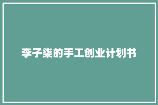 李子柒的手工创业计划书 词汇积累