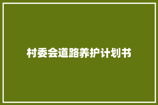 村委会道路养护计划书