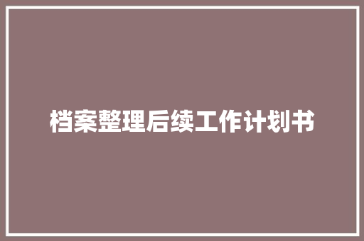 档案整理后续工作计划书