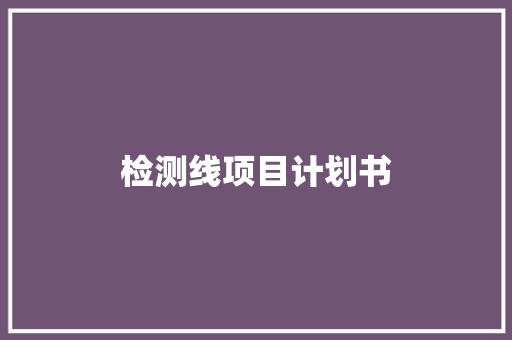 检测线项目计划书