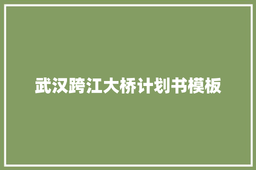 武汉跨江大桥计划书模板 词汇积累