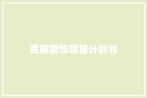 民族银饰项目计划书