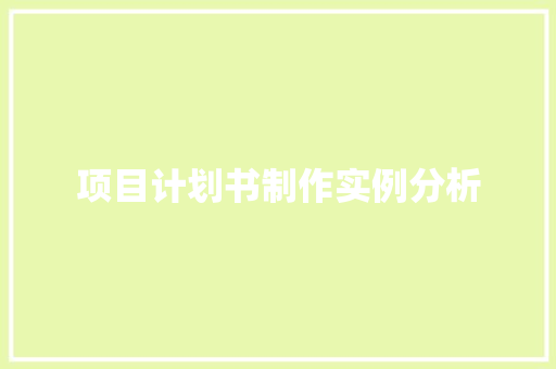 项目计划书制作实例分析
