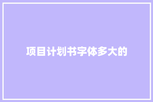 项目计划书字体多大的