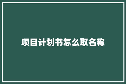 项目计划书怎么取名称