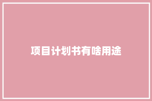 项目计划书有啥用途