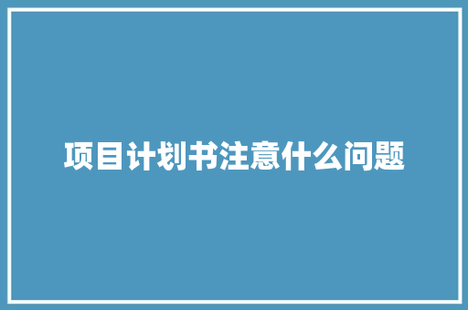 项目计划书注意什么问题 词汇积累