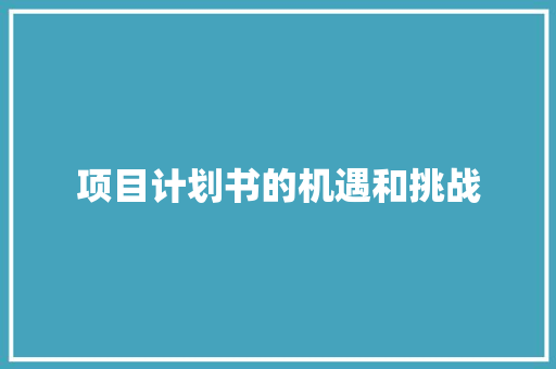 项目计划书的机遇和挑战 写作素材