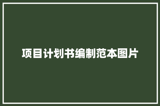 项目计划书编制范本图片