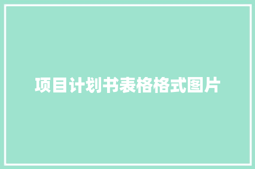 项目计划书表格格式图片
