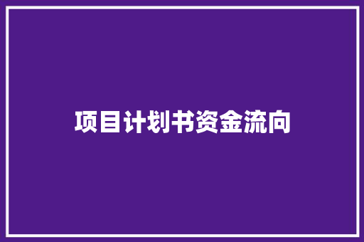 项目计划书资金流向 商业文案