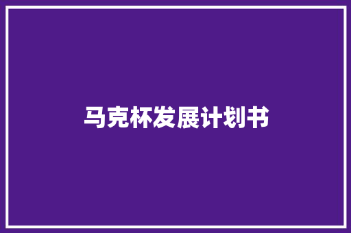 马克杯发展计划书