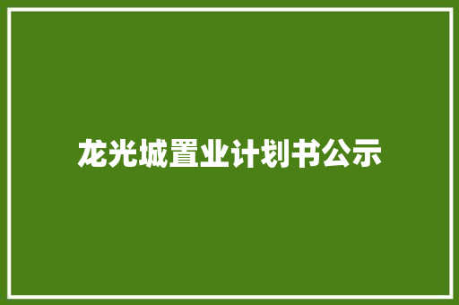 龙光城置业计划书公示