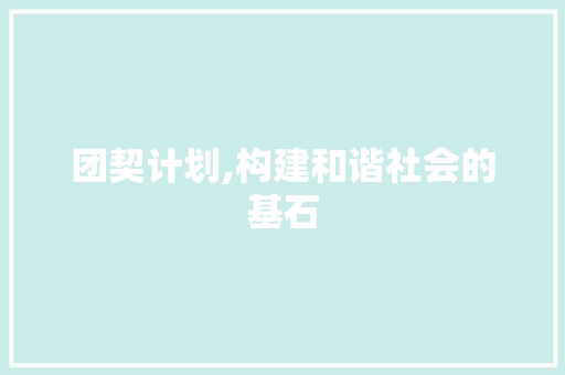 团契计划,构建和谐社会的基石