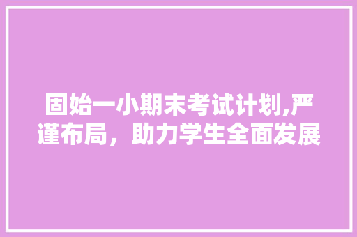 固始一小期末考试计划,严谨布局，助力学生全面发展
