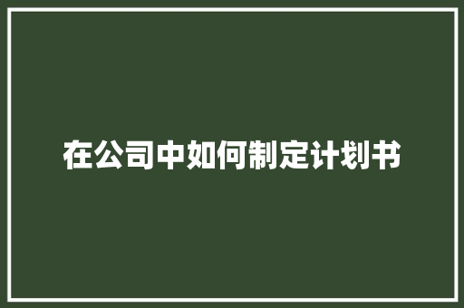 在公司中如何制定计划书