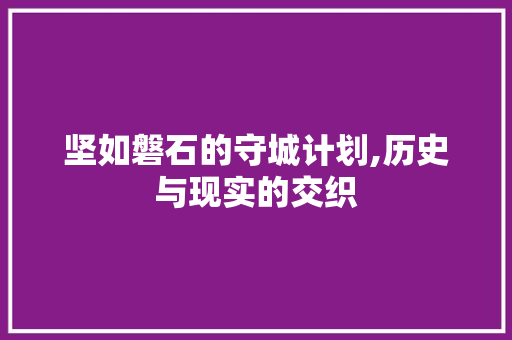 坚如磐石的守城计划,历史与现实的交织