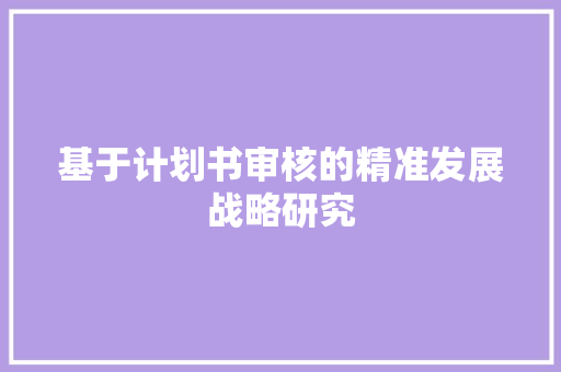 基于计划书审核的精准发展战略研究