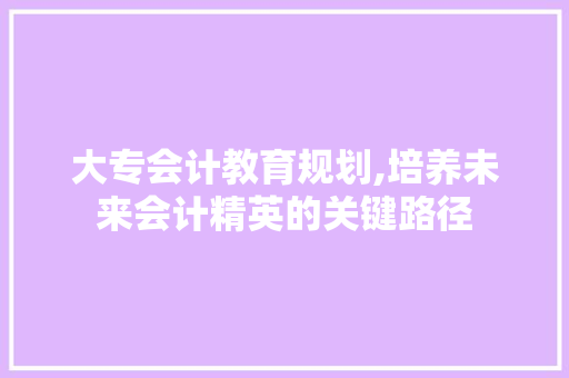 大专会计教育规划,培养未来会计精英的关键路径 写作技巧