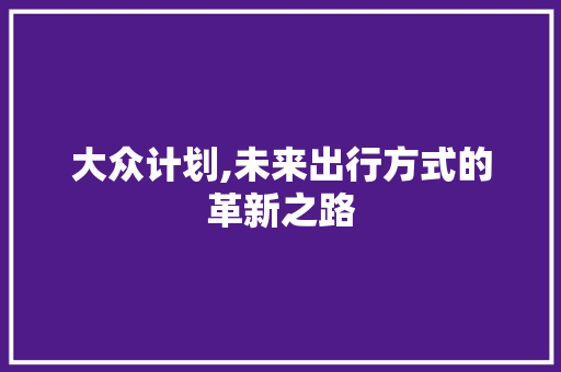 大众计划,未来出行方式的革新之路