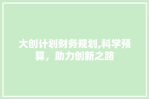 大创计划财务规划,科学预算，助力创新之路