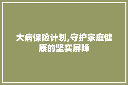 大病保险计划,守护家庭健康的坚实屏障