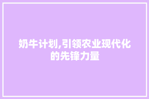 奶牛计划,引领农业现代化的先锋力量