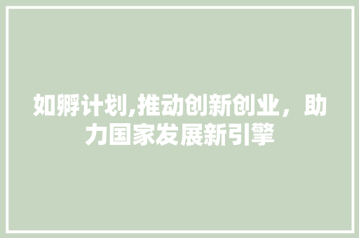 如孵计划,推动创新创业，助力国家发展新引擎 商业文案