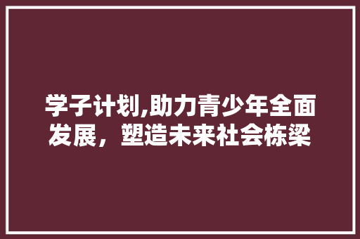 学子计划,助力青少年全面发展，塑造未来社会栋梁
