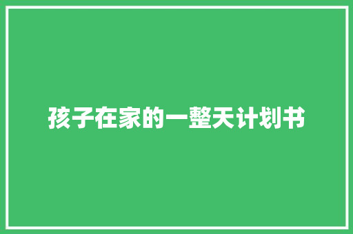 孩子在家的一整天计划书
