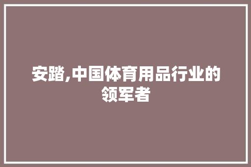 安踏,中国体育用品行业的领军者