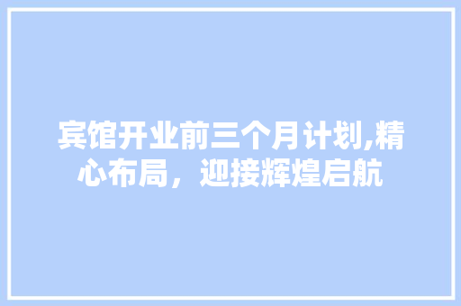 宾馆开业前三个月计划,精心布局，迎接辉煌启航