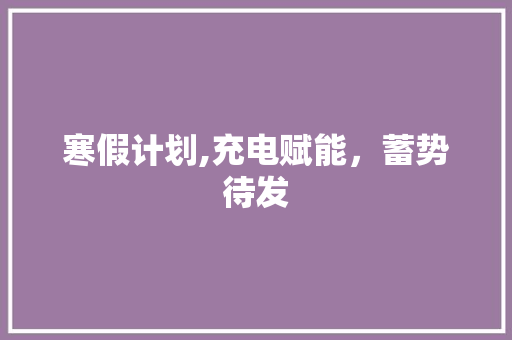 寒假计划,充电赋能，蓄势待发