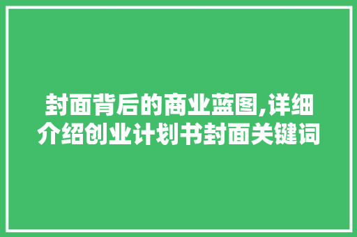 封面背后的商业蓝图,详细介绍创业计划书封面关键词