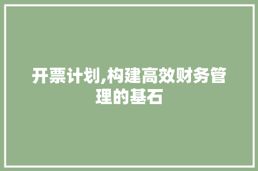 开票计划,构建高效财务管理的基石