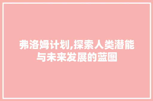 弗洛姆计划,探索人类潜能与未来发展的蓝图