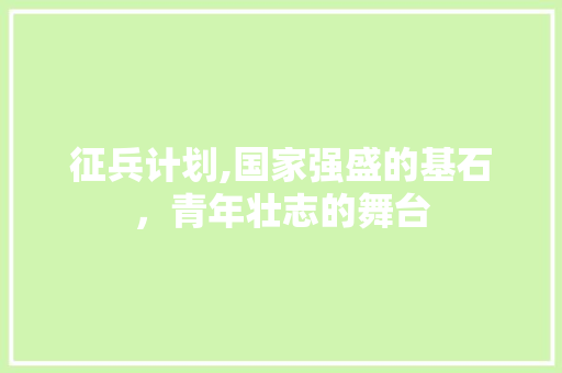 征兵计划,国家强盛的基石，青年壮志的舞台