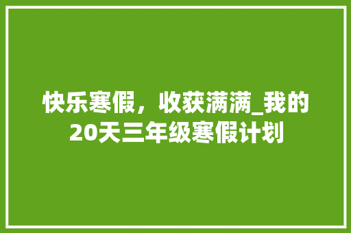 快乐寒假，收获满满_我的20天三年级寒假计划