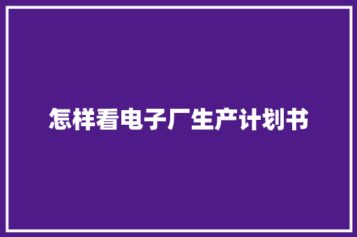 怎样看电子厂生产计划书
