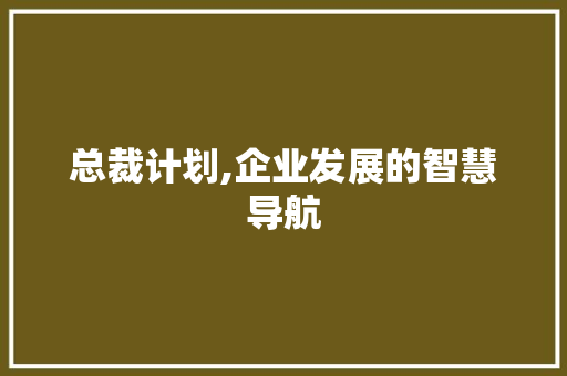 总裁计划,企业发展的智慧导航